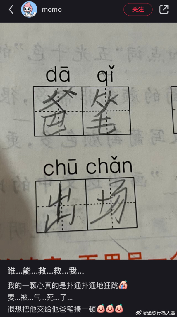 Word文档图片